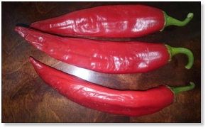 Joe. E. Parker Chile Pepper Seed